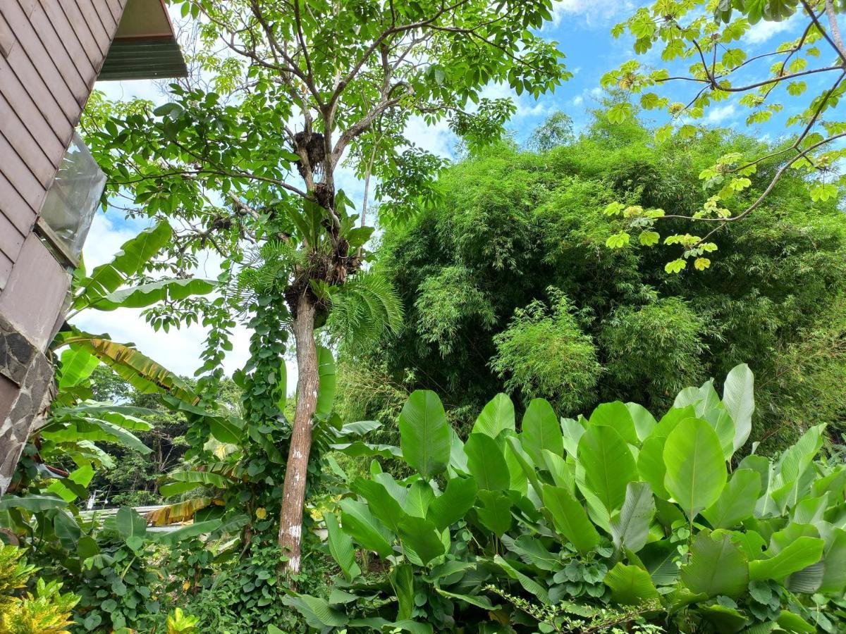 Sunrise House Bed & Breakfast Quepos Dış mekan fotoğraf