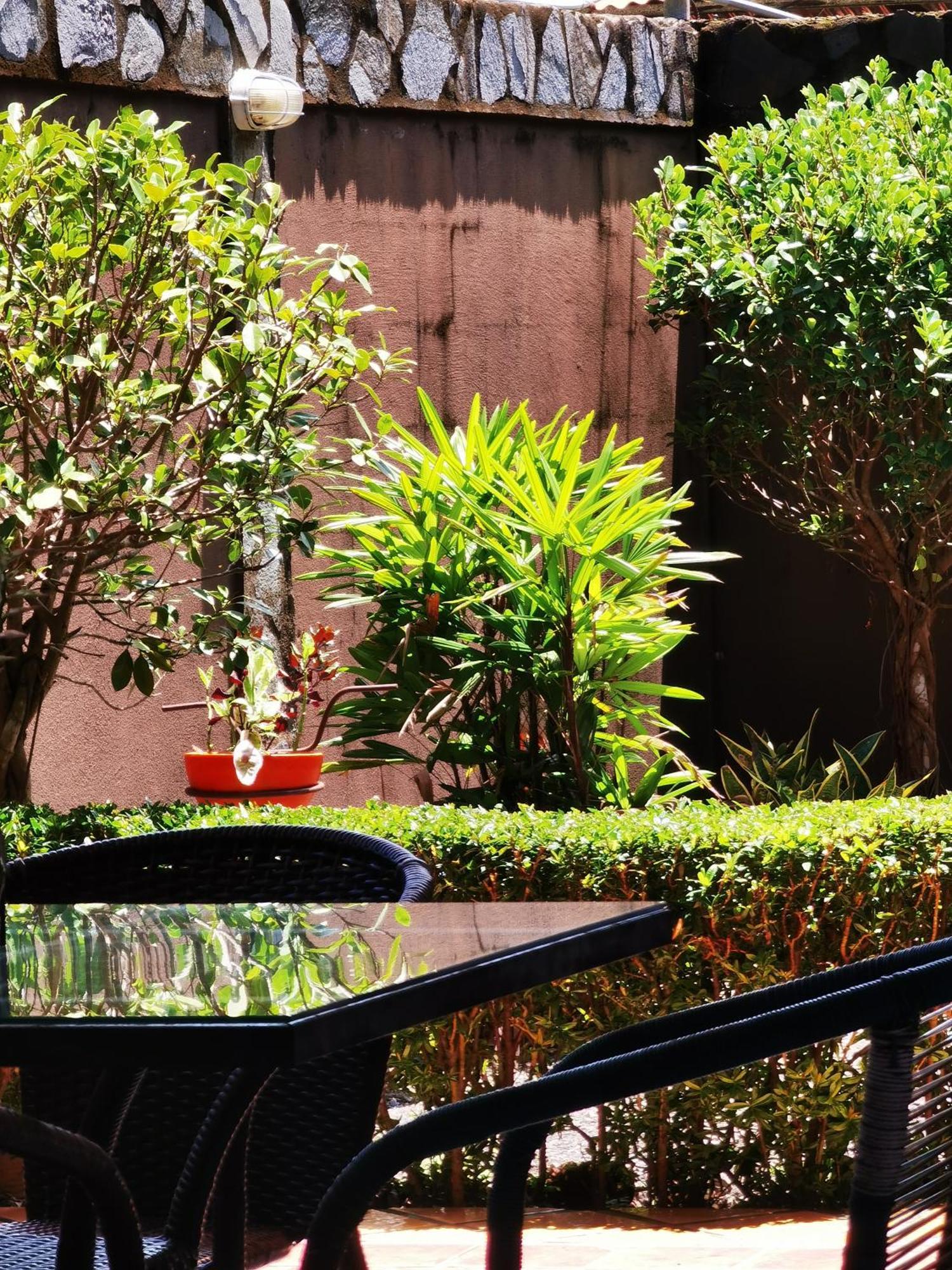 Sunrise House Bed & Breakfast Quepos Dış mekan fotoğraf