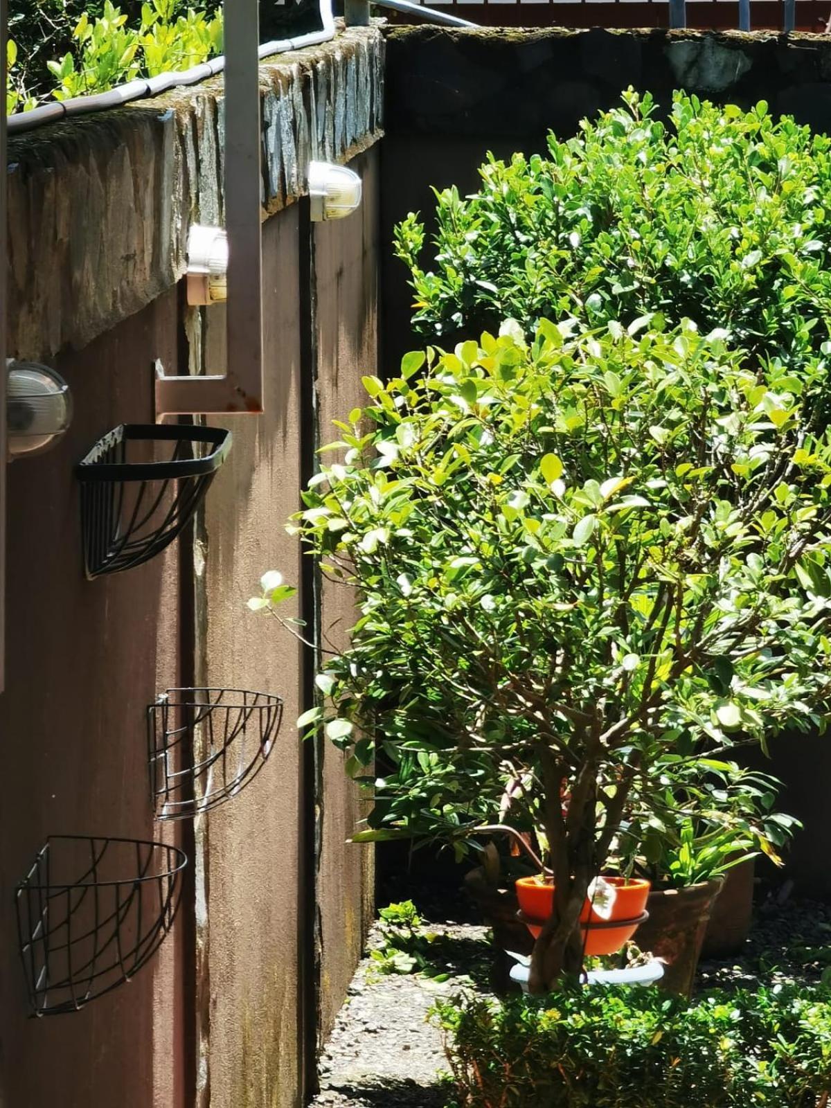 Sunrise House Bed & Breakfast Quepos Dış mekan fotoğraf